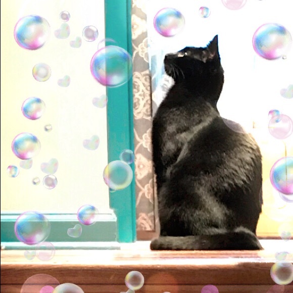 Shop our mom's closet! 😻😻😻 - Picture 4 of 16